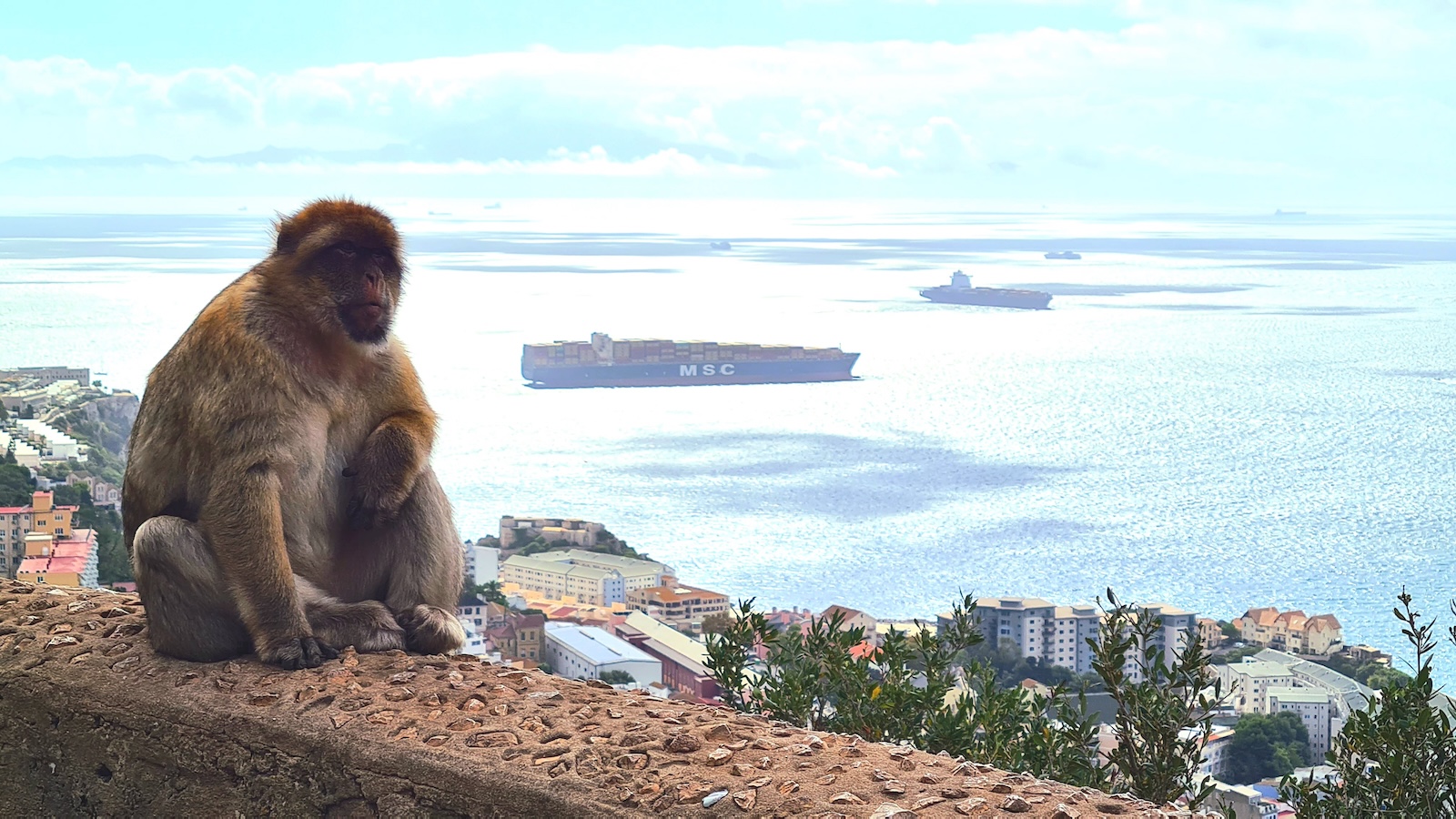 Wir erfreuen uns alle der schönen Aussicht